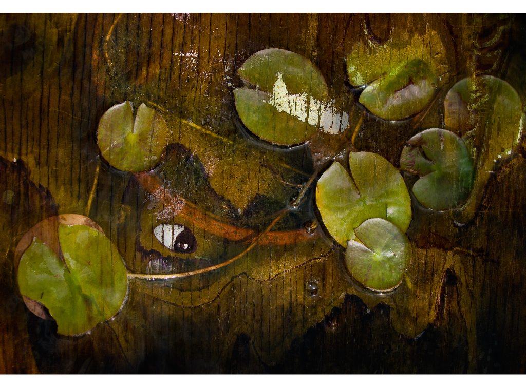 lily-wood-composite-artwork-bowen-imagery