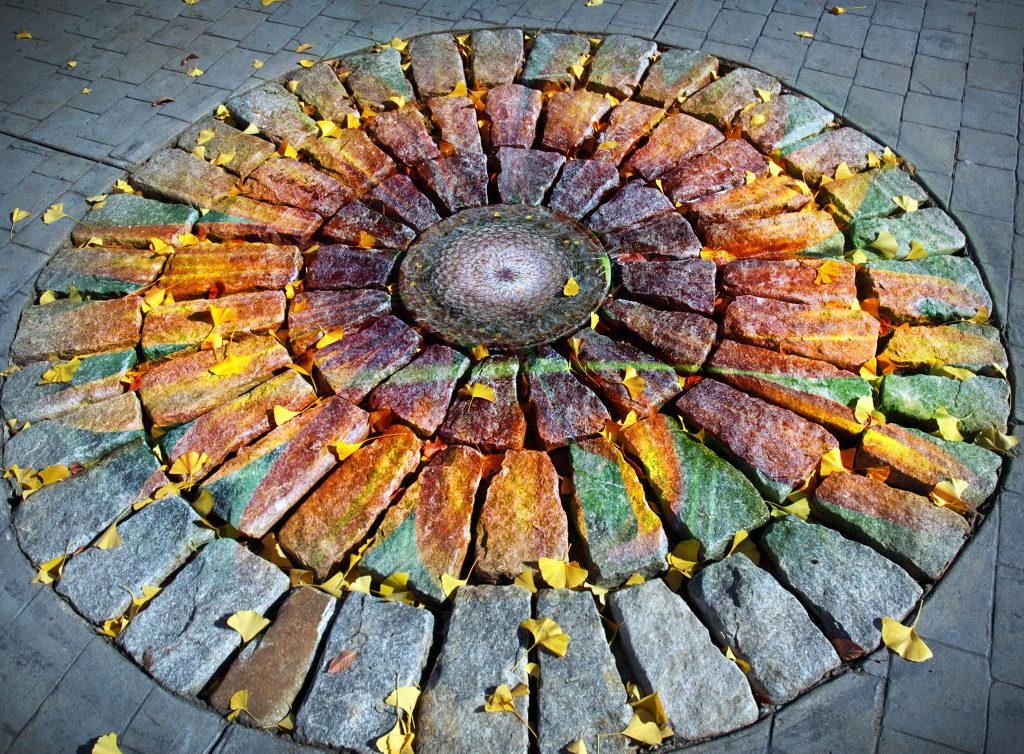 stone-flower-composite-photo-artwork-bowen-imagery