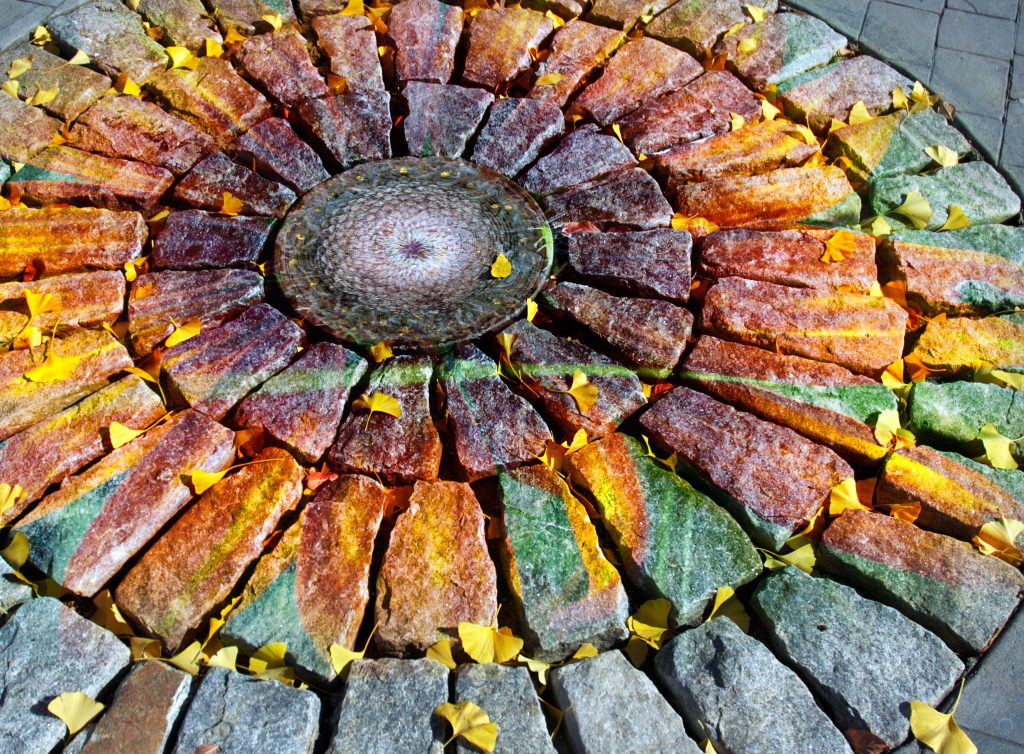 stone flower composite photoartwork bowen imagery