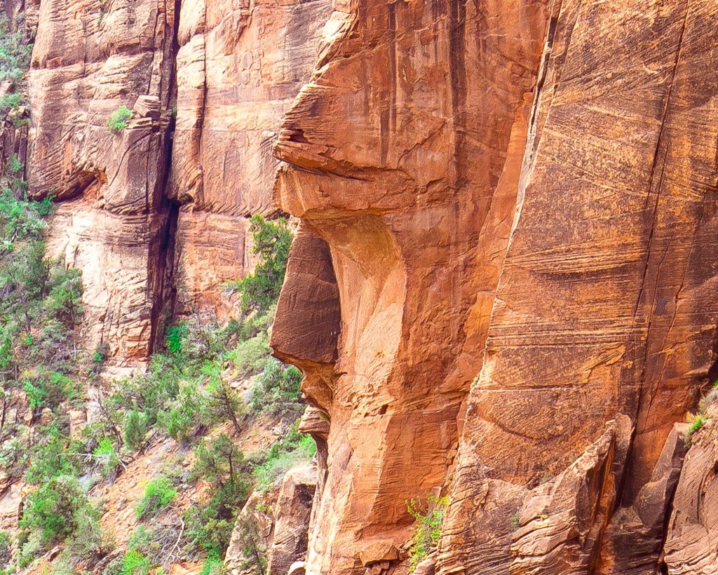 zion park indian rock face