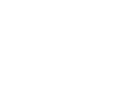 Satori, Inc.