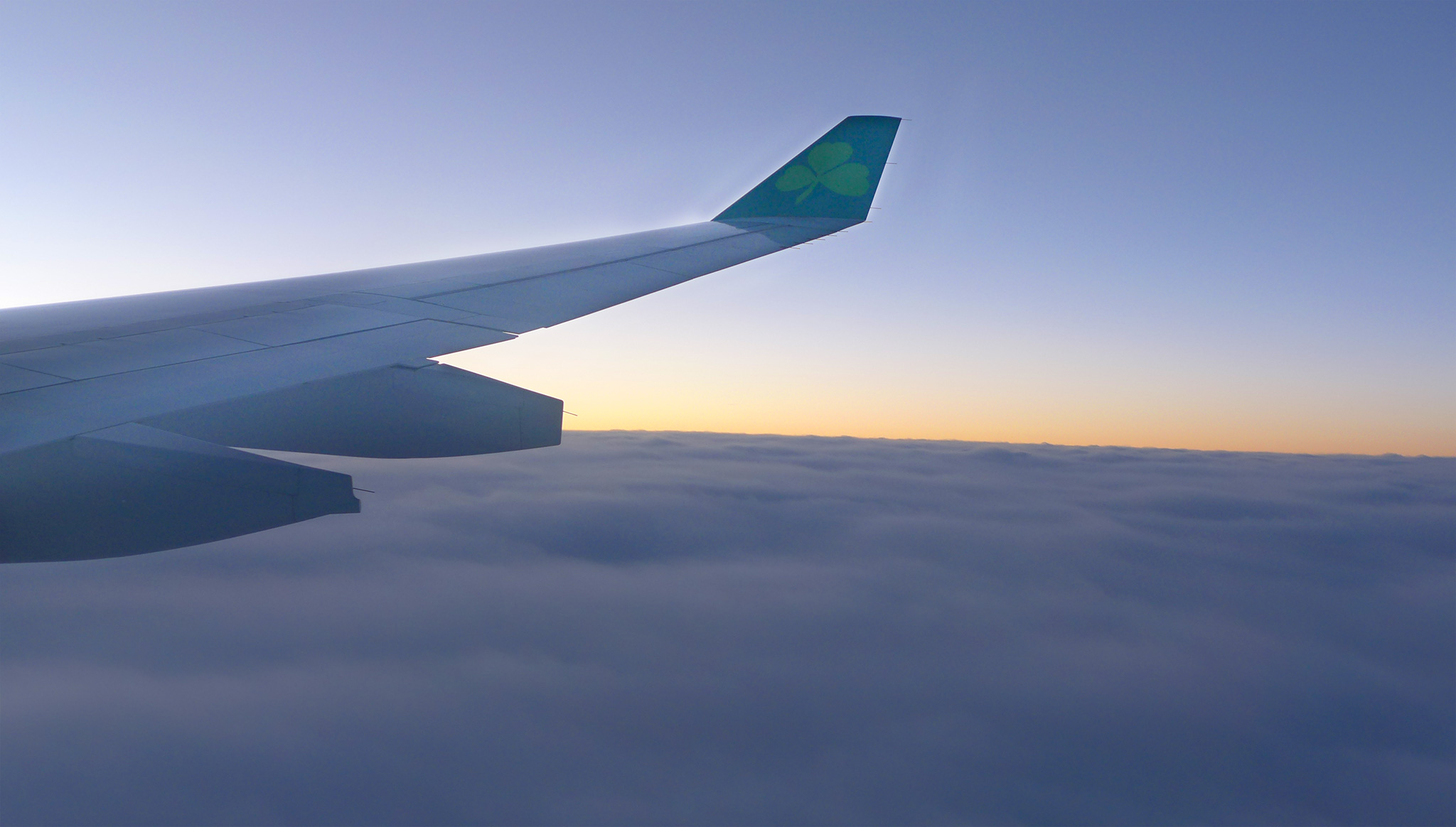 are lingus flying into dublin