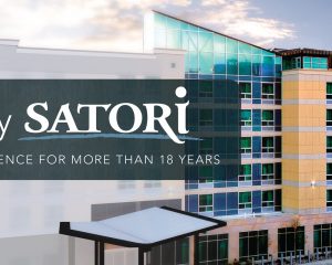 Satori Inc
